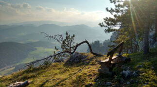Hohe Wand - Great Pulpit Over Springlessteig
